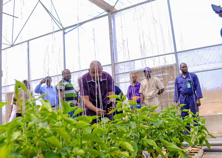 Governor Makinde’s Agribusiness Vision Draws International Spotlight with Fasola Visit By Adedoja Afees Ekolo