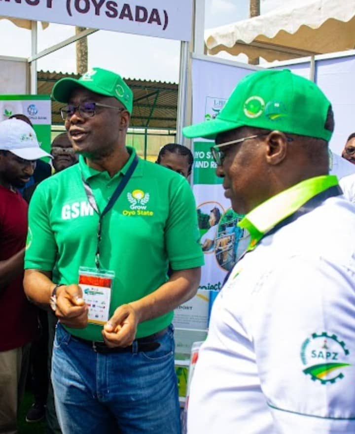 Debo Akande: A Functioning Tool in the Hand of Governor Seyi Makinde By Akindele Ibrahim Olore